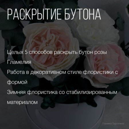 Раскрытие-стабилизированного-бутона-розы