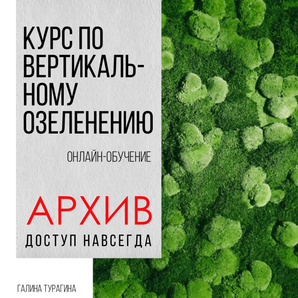 Вертикальное-озеленение-из-мха-курс