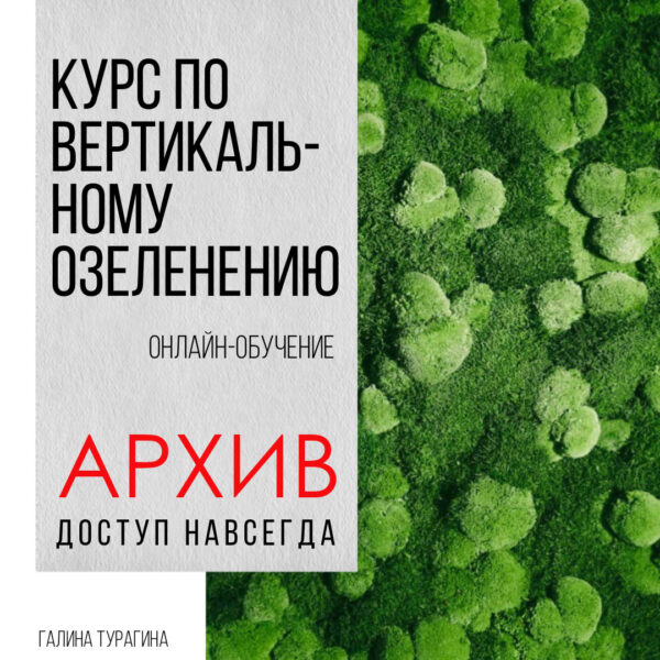 Вертикальное-озеленение-из-мха-курс
