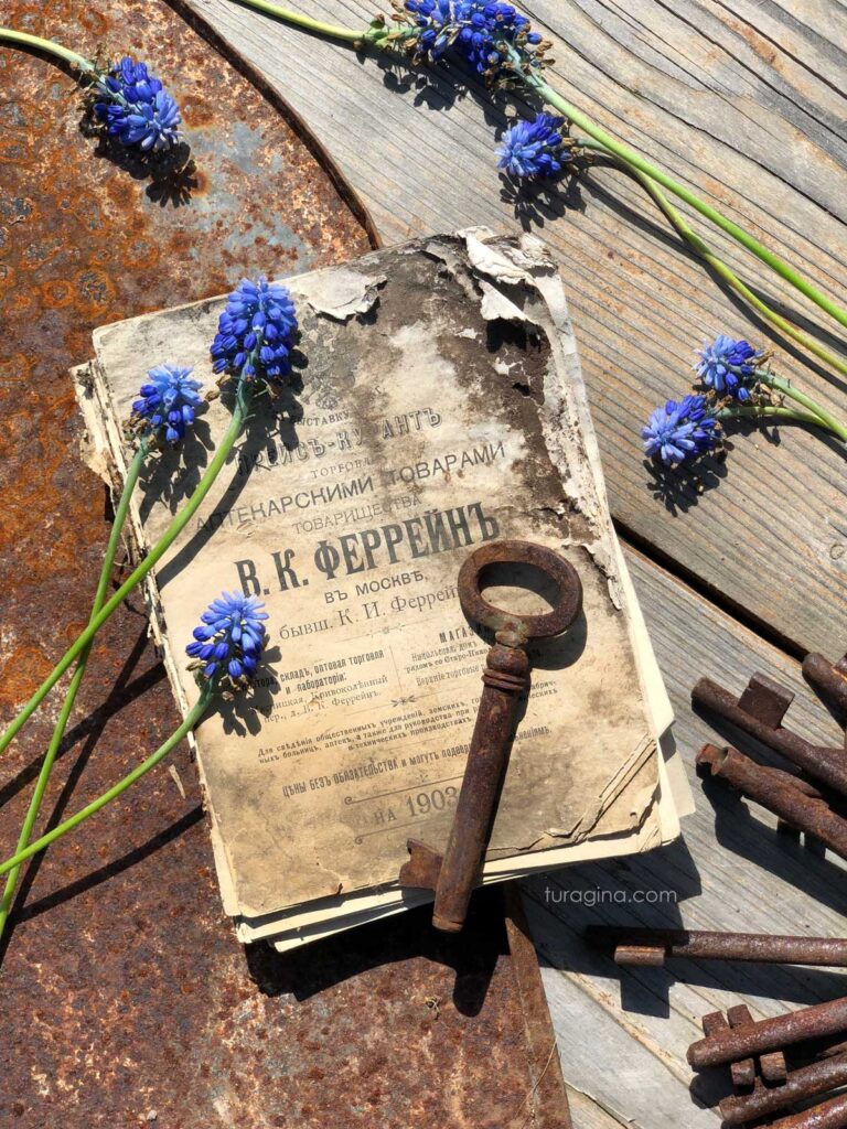 Мускари-весной