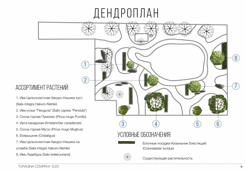 Дендроплан