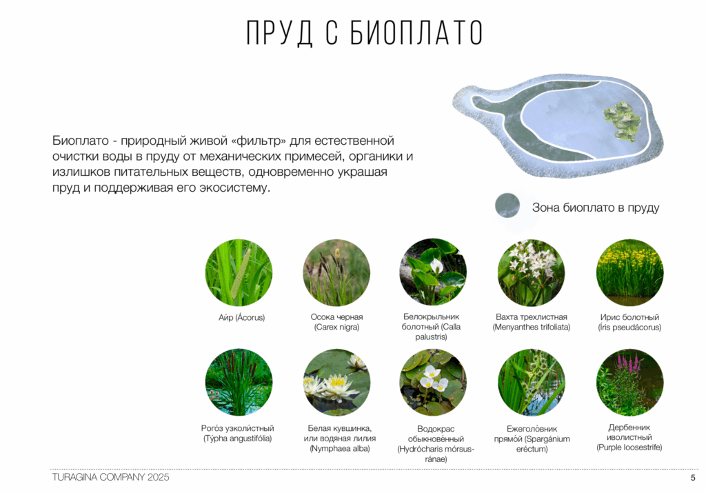 Пруд-с-биоплато