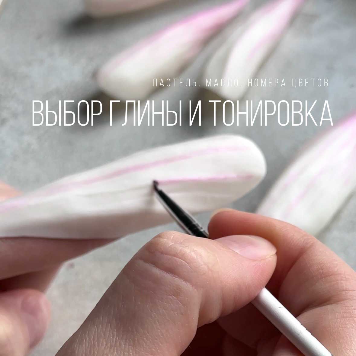 тонировка-магнолии-из-глины-мк